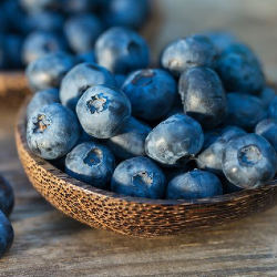a bowl of blueberries